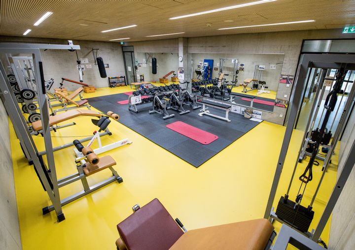 Sport
